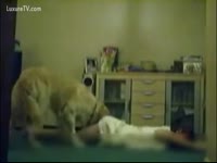 teen Gets Fucked By Pup
